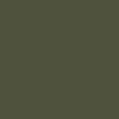 Olivgrün (RAL 6003 beidseitig)
